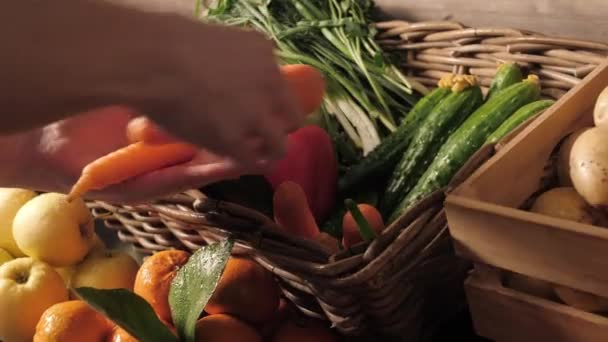 Gemüsebauern-Markttheke: Bunte Vielfalt an frischem, gesundem Bio-Gemüse im Supermarkt. Gesundes natürliches Ernährungskonzept — Stockvideo