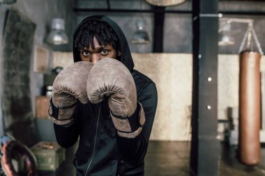 Siyah boksör. Kameraya yakın çekim yap.