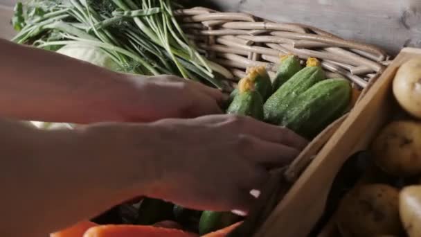 Свежие органические овощи и травы на фермерском рынке. Цветные овощи и травы в продаже на местном фермерском рынке. — стоковое видео