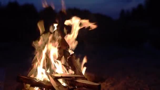 La llama brillante de la hoguera ardiente en la oscuridad sobre el fondo del lago por la tarde al atardecer del día en verano. lenguas de llama. Turismo. Viajar. Estilo de vida — Vídeo de stock