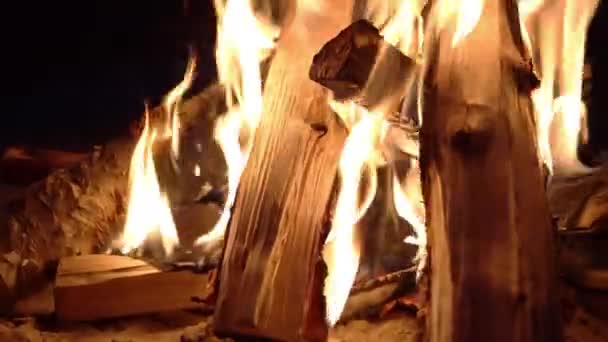 Burning hot firewoods fire sparks on a dark background. Raging Campfire Flames. black background. close up bonfire — Stock Video