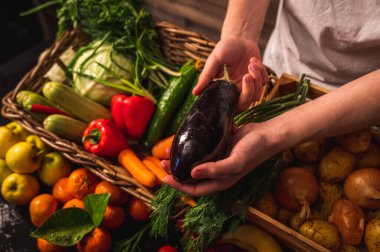  Organik sebzeler. Taze toplanmış elmalarla çiftçilerin elleri. Taze organik elmalar. Meyve ve sebze pazarı