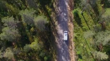 Ambulans orman yolunda ilerliyor. Manzara..