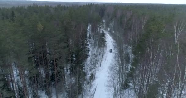 青い車が森の中の冬の道を走っている — ストック動画