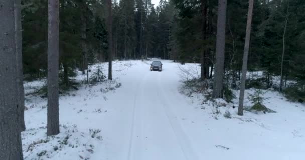 Блакитна Машина Їде Зимовій Дорозі Лісі — стокове відео