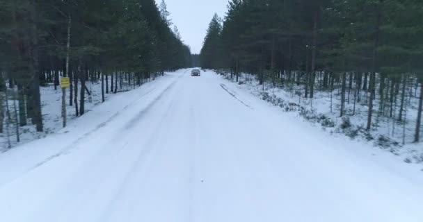 Carro Azul Cavalga Uma Estrada Florestal Inverno — Vídeo de Stock