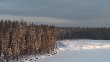 Kış ormanı Gölün üzerinden havalan..
