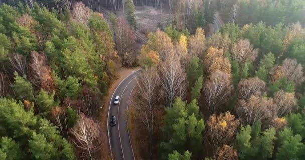 Conflito Estrada Entre Motoristas Vista Aérea — Vídeo de Stock