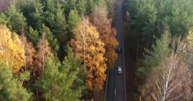 Sonbahar yolunda tehlikeli araba manevraları. Hava görünümü.