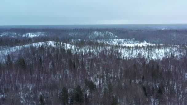 Floresta Inverno Lago Vista Aérea — Vídeo de Stock