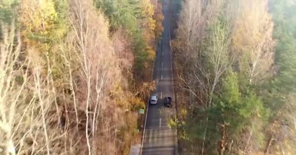 Маневр Дорозі Осінній Ліс Вид Повітря — стокове відео