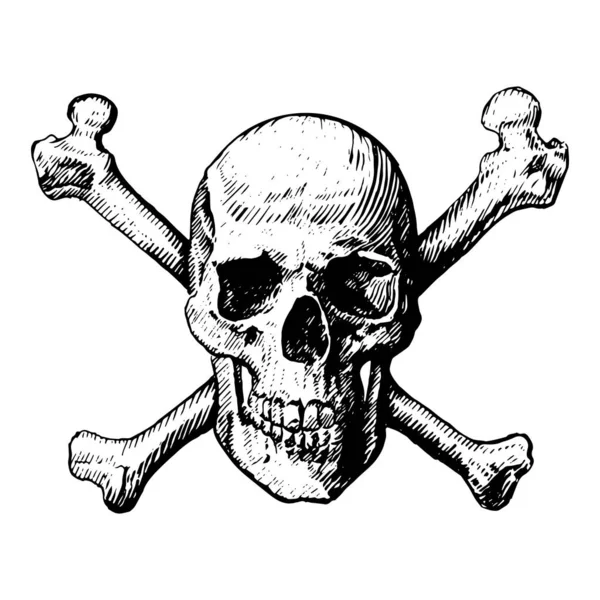 Ein Totenkopf und eine Kreuzknochen-Ikone illustrieren wie ein Piraten-fröhliches Roy-Zeichen. Vektor-Symbol, isoliert, auf weißem Hintergrund — Stockvektor