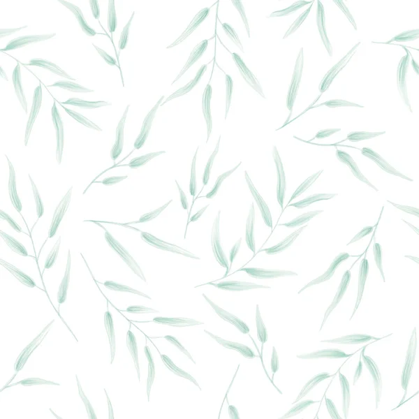 Floral seamless hand drawn pattern. Twigs with leaves drawn in pencil. green twigs on a white background