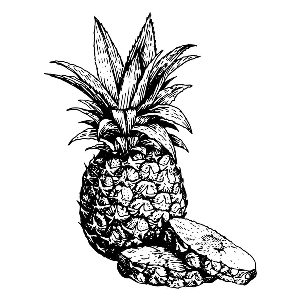 Croquis vectoriel dessiné à la main ananas et morceaux tranchés. Illustration de style gravé aux fruits tropicaux d'été. Dessin alimentaire détaillé. Idéal pour l'étiquette, affiche, impression — Image vectorielle