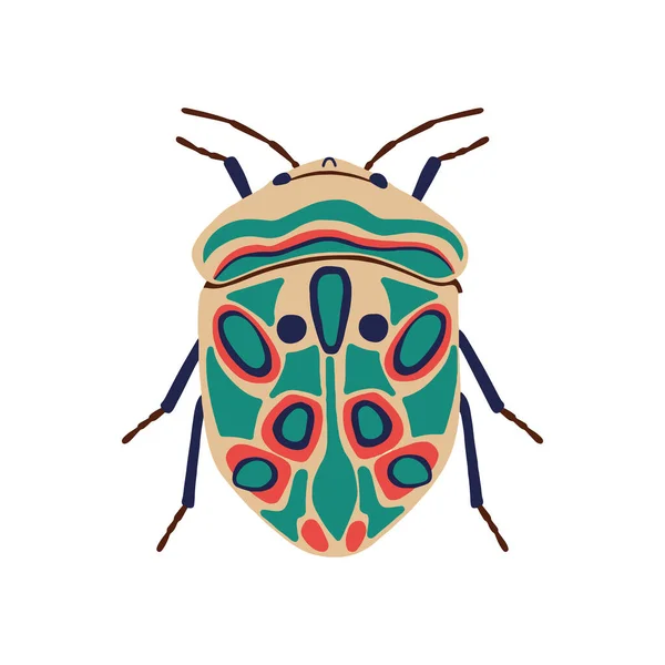 Ilustracja wektora, Kolor chrząszcz picasso, Piękny chrząszcz z ozdobą — Wektor stockowy