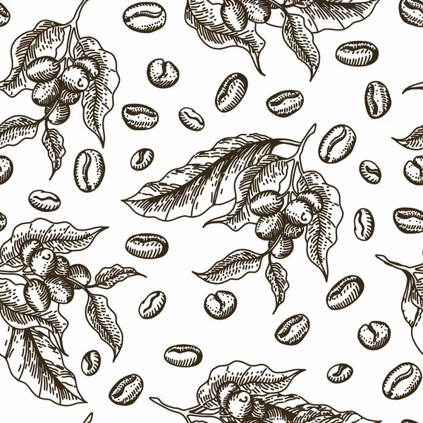 Patrón vectorial de flores, bayas y granos de café. sepia color, dibujo del boceto — Archivo Imágenes Vectoriales