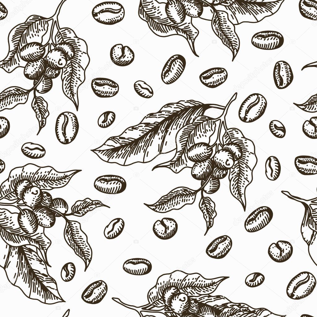 vector pattern of flowers, berries and coffee beans. sepia color, sketch drawing
