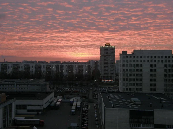 Günbatımının Pembe Işıklarındaki Ofis Binalarını Cirrus Bulutlarının Arka Planında Görmek — Stok fotoğraf