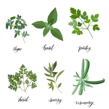 Bitkiler ve baharatlar..