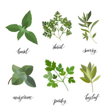 Bitkiler ve baharatlar..