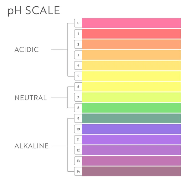 Diagram över pH-värde. — Stock vektor