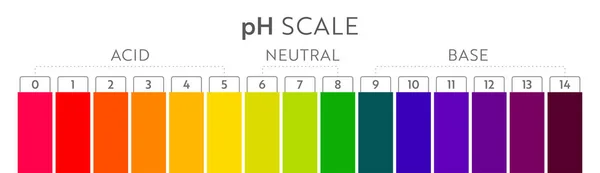 Diagram över pH-värde. — Stock vektor