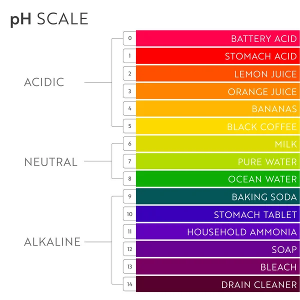 Diagram över pH-värde. — Stock vektor