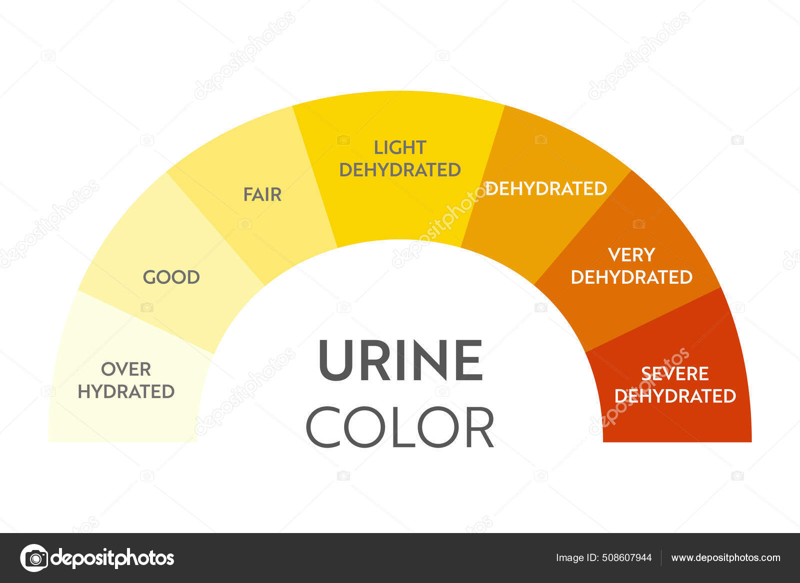 Urine color chart . Stock Vector Image by ©Kandella 508607944