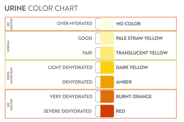 Urine color chart .