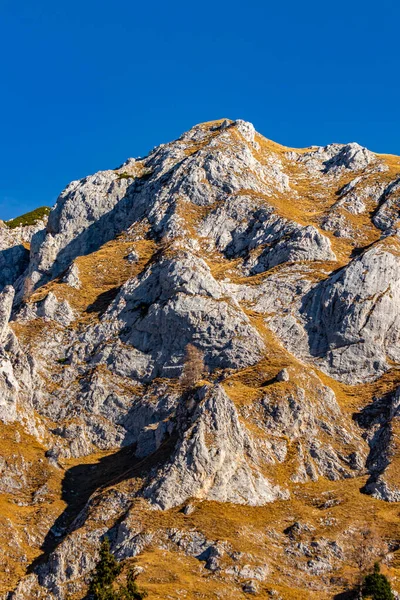 Erba Illuminata Dal Sole Sulla Cima Della Montagna Giorno — Foto Stock