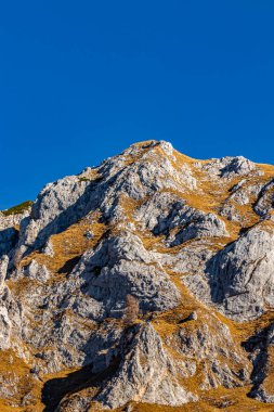 Güneşli otlar dağın zirvesinde, sabah vakti