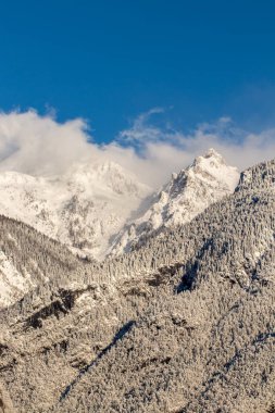Bohinj dağlarında kış zamanı sisli