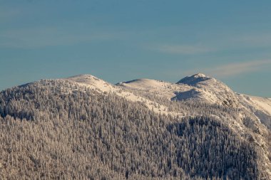 Karla kaplı ladin ormanı, elezniki