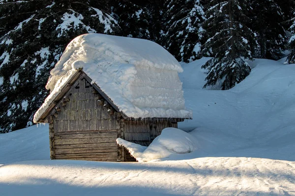 Dağdaki dağ kulübesi Jezero