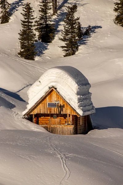 Alm Dedno Polje Winter Sonniger Tag — Stockfoto