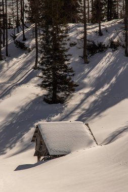 Dağ otlağı Dedno polje kışın, Bohinj