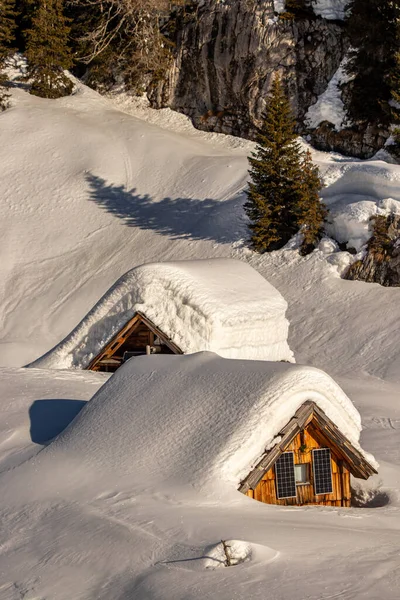 山区牧场Deno Polje在冬季 Bohinj — 图库照片
