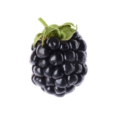 Lezzetli olgun böğürtlen beyazda izole edilmiş