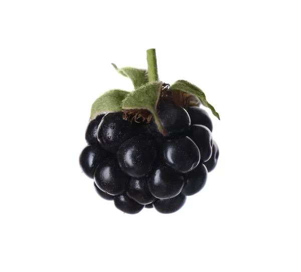 Delicious Fresh Ripe Blackberry Isolated White — Stock Photo, Image