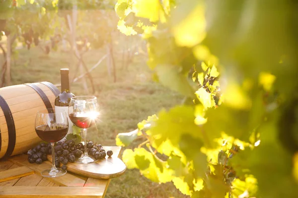 Composizione Con Vino Uva Matura Tavola Legno Vigna — Foto Stock