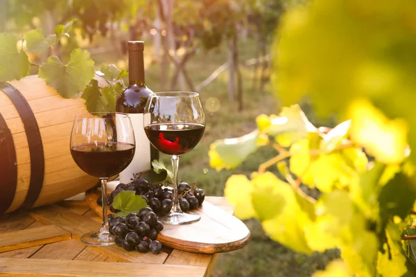 Samenstelling Met Wijn Rijpe Druiven Houten Tafel Wijngaard — Stockfoto