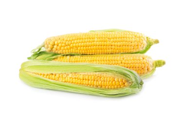 Beyaz arka planda kabuğu olan olgun çiğ mısır koçanları.
