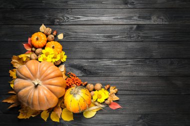 Olgun balkabakları ve sonbahar yaprakları ile düz kompozisyon siyah ahşap masa üzerinde, metin için yer. Şükran günün kutlu olsun.