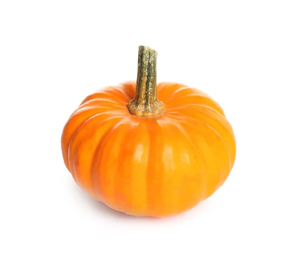 Bella Zucca Arancione Matura Isolata Bianco — Foto Stock