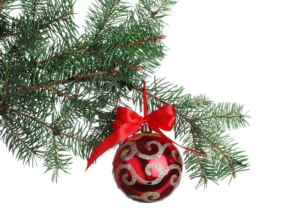 Red Shiny Christmas Ball Fir Tree Branch White Background Stock Photo