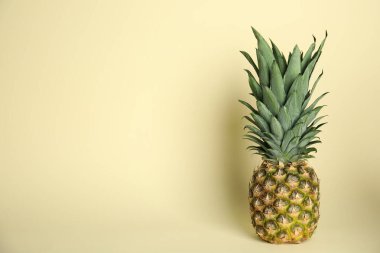 Açık sarı arka planda olgun sulu ananas. Metin için boşluk