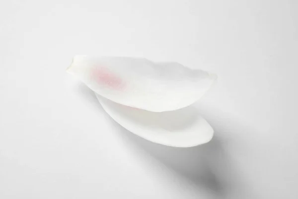 Красиві Пелюстки Квітів Лотоса Ізольовані Білому — стокове фото