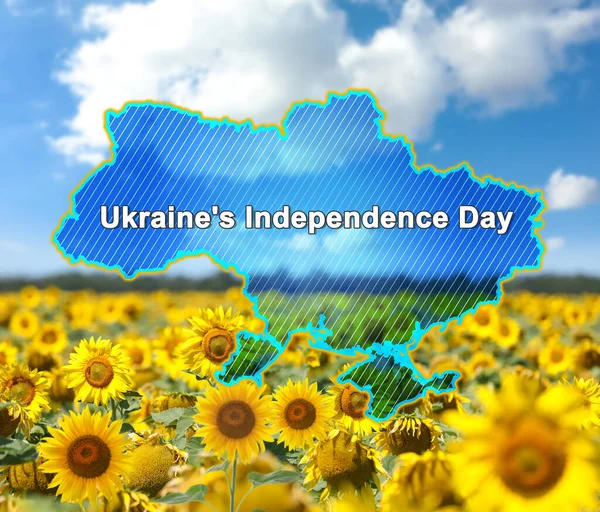 График Страны Текстом День Независимости Украины Подсолнечное Поле Голубым Небом — стоковое фото