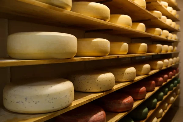 Fresh Cheese Heads Rack Factory Warehouse — Stock Photo, Image