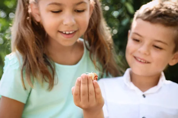 Kinder Die Draußen Mit Süßen Schnecken Spielen Konzentrieren Sich Auf — Stockfoto